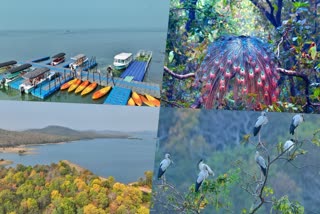 DEBRIGARH ECOTOURISM