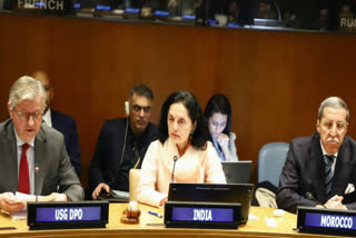 Humanitarian crisis caused by Israel-Hamas conflict unacceptable: Indian Ambassador Ruchira Kamboj