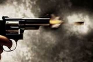 Two Youths Shot Dead in Rajasthan's Gangapur, Villagers Protest, Cops in Search of Miscreants