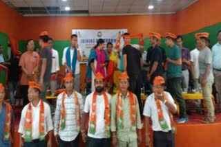 Dima Hasao BJP