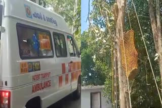 DIED ON TOP OF TREE  PHYSICAL DISABILITY  WORKER WENT TO CUT BRANCHES  മരത്തിൽ കുടുങ്ങി തൊഴിലാളി മരിച്ചു