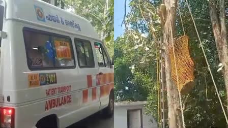 DIED ON TOP OF TREE  PHYSICAL DISABILITY  WORKER WENT TO CUT BRANCHES  മരത്തിൽ കുടുങ്ങി തൊഴിലാളി മരിച്ചു