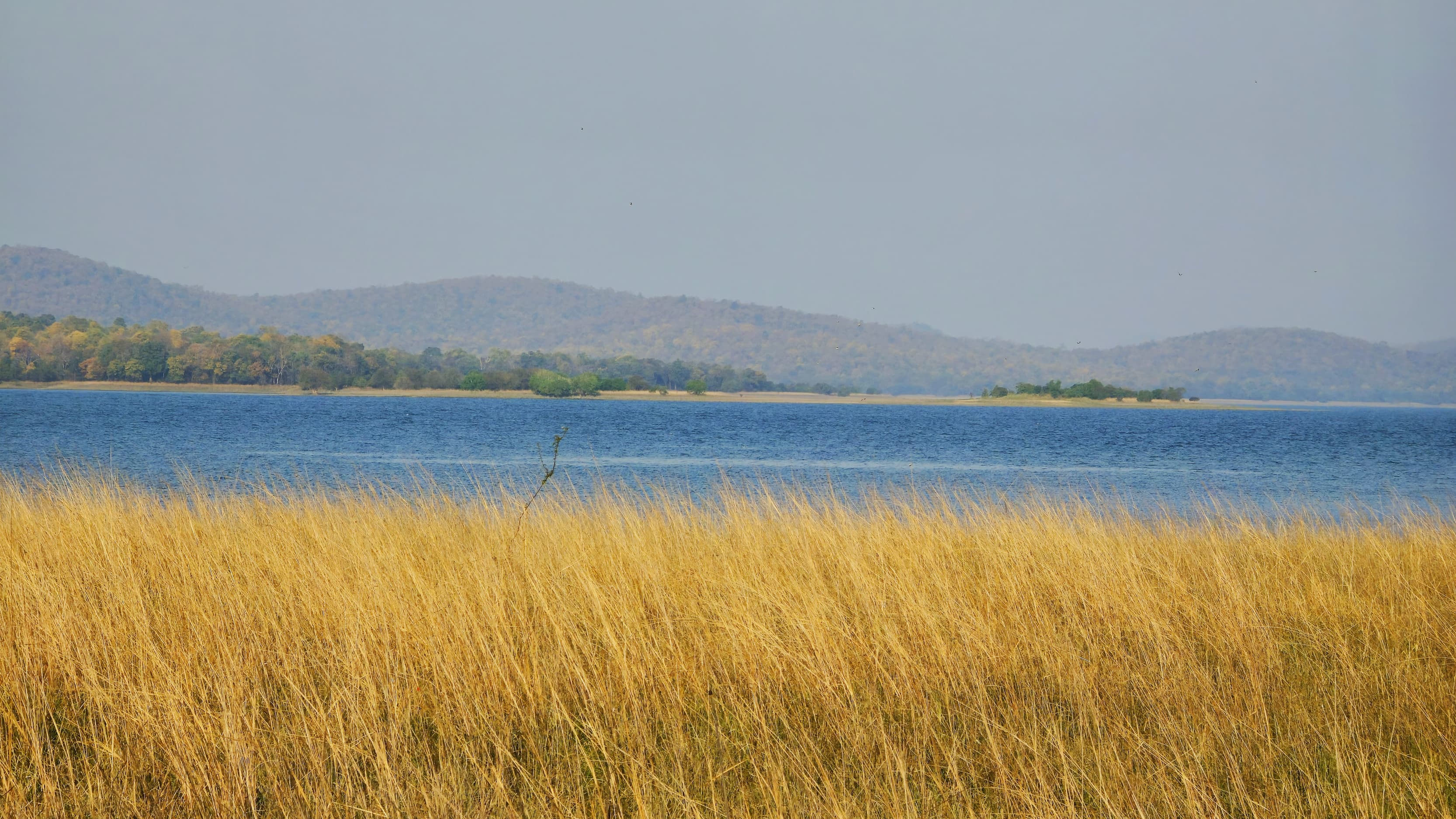 Debrigarh Sanctuary