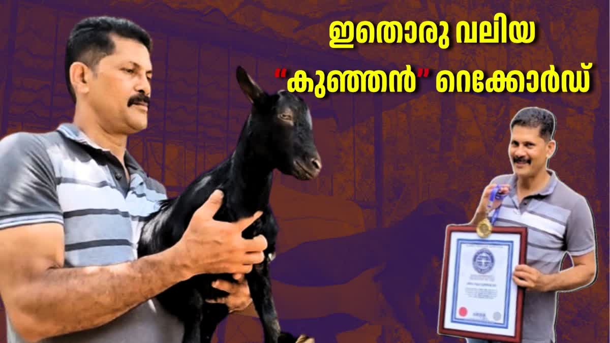 GUINNESS WORLD RECORD LITTLE LAMB  CANADIAN PYGMY GOATS  SHORTEST GOAT TO GIVE BIRTH  ലിനുവിന്‍റെ ആടിന് ഗിന്നസ് റെക്കോഡ്