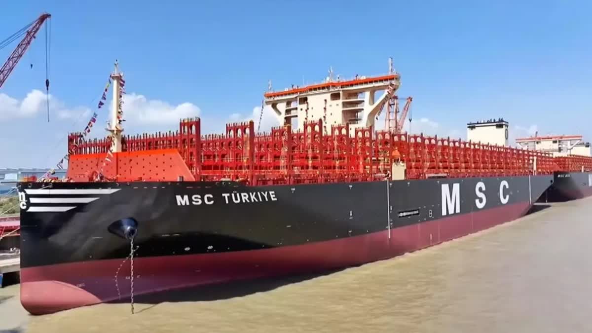 MSC Turkiye
