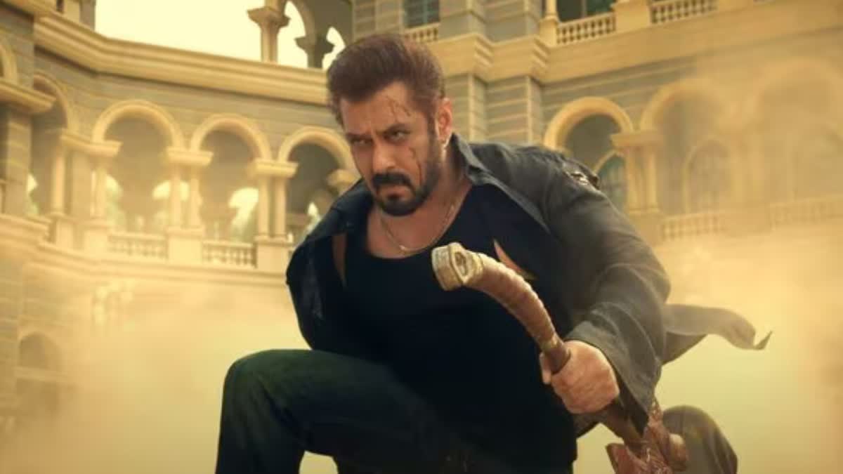 sikandar box office collection