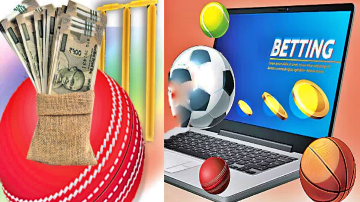 ipl_cricket_betting