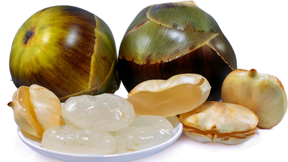 HEALTH BENEFITS OF TADI FRUIT  HEALTH BENEFITS OF ICE APPLE  TADI FRUIT BENEFITS