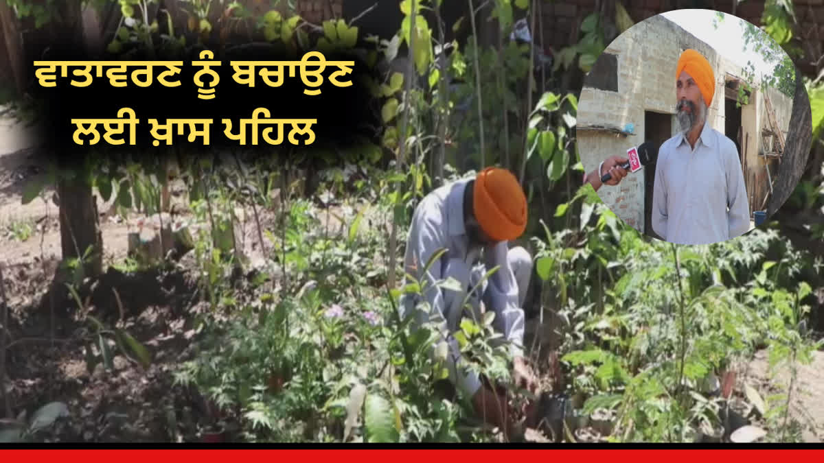 Mangal Singh of Tarn Taran is taking important steps to save the environment, has planted about 18 thousand trees so far