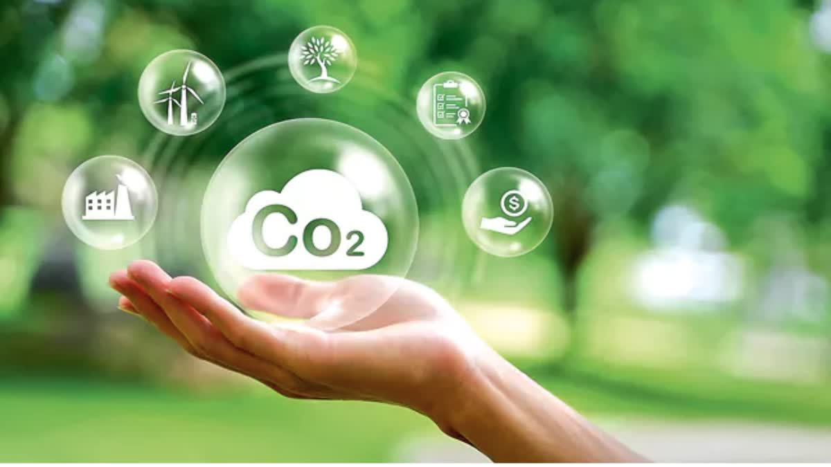 Best Environmental Courses Details