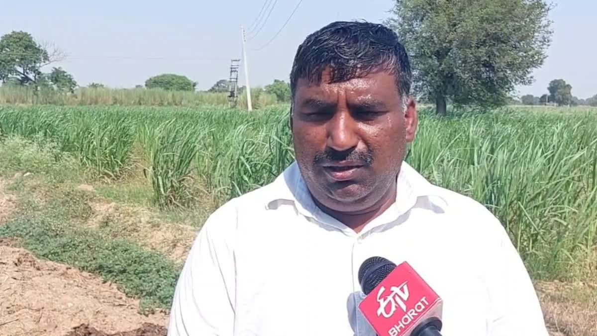 Etv Bharat