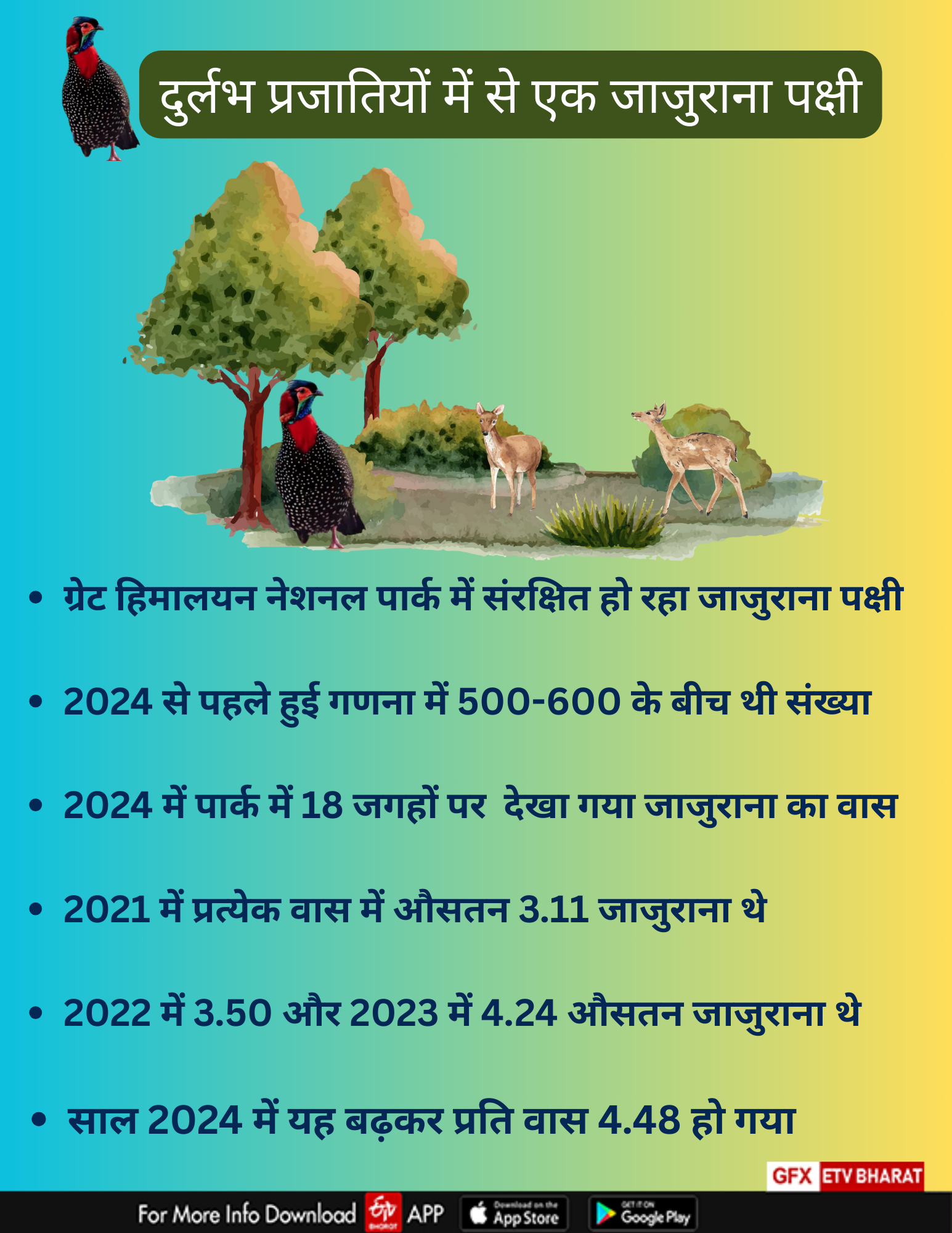 दुर्लभ प्रजातियों में से एक है जाजुराना पक्षी