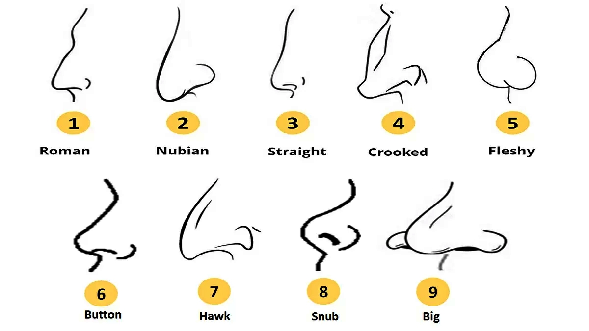 Personality Test: Your Nose shape reveals these personality traits