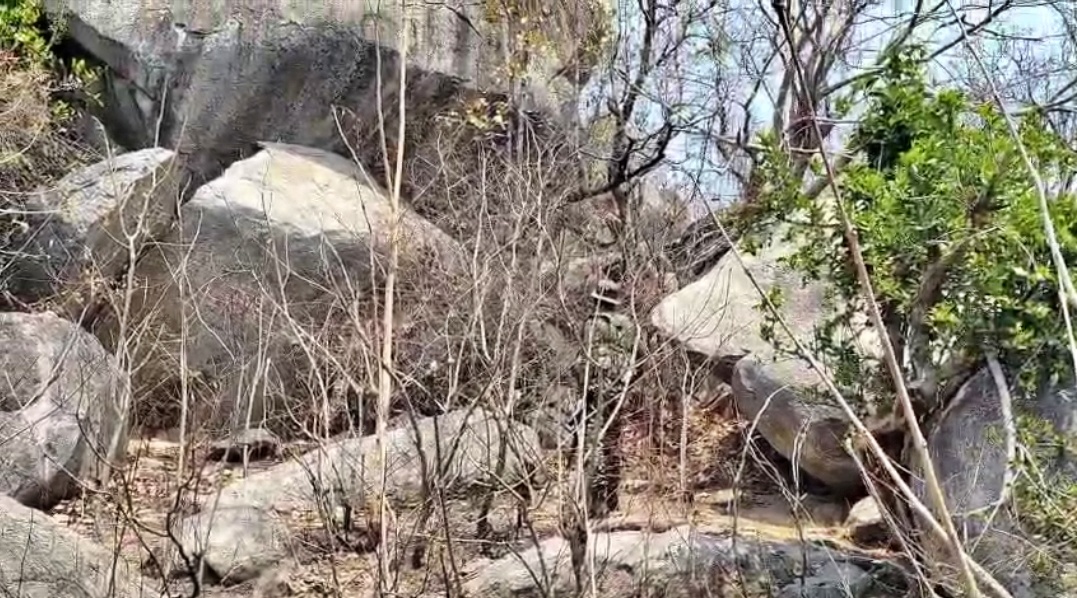 Bomb Recover In Gaya