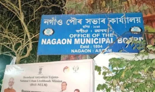 CAG REPORT
