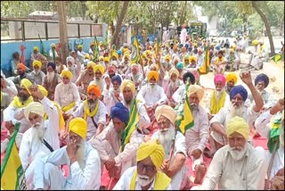 BKU PROTEST DC OFFICE