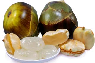 HEALTH BENEFITS OF TADI FRUIT  HEALTH BENEFITS OF ICE APPLE  TADI FRUIT BENEFITS