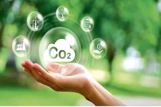 Best Environmental Courses Details