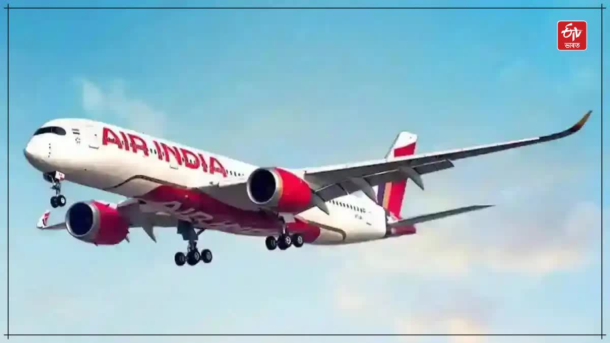 Air India crew strike