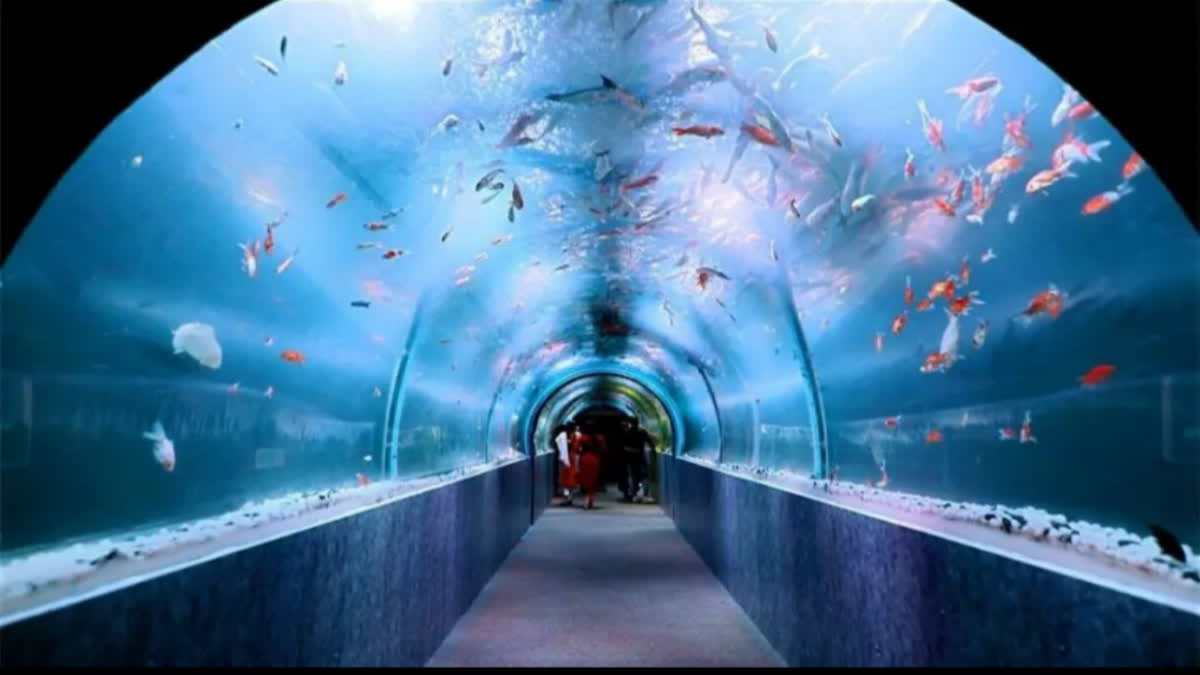 UNDER WATER TUNNEL IN CALICUT  UNDER WATER TUNNEL AQUARIUM  CALICUT TRADE CENTER  കോഴിക്കോട് അണ്ടര്‍ വാട്ടര്‍ ടണല്‍