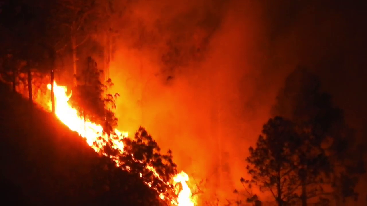 Uttarakhand Forest Fire