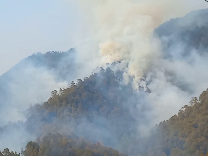 Uttarakhand Forest Fire