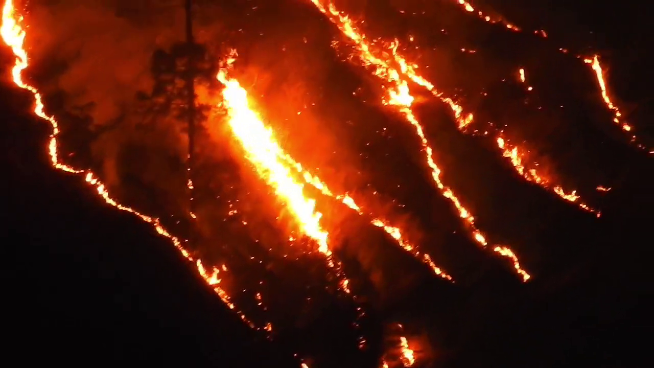 Uttarakhand Forest Fire