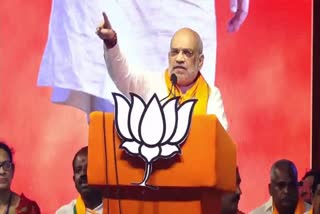 Amit Shah ELECTION CAMPAIGN