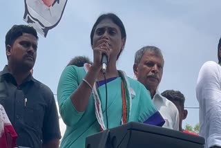 YS Sharmila Election Campaign In Pulivendula