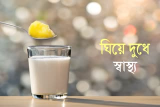 MILK AND GHEE FOR HEALTH News