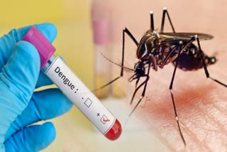Dengue Cases in Assam