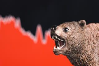 Stock Market