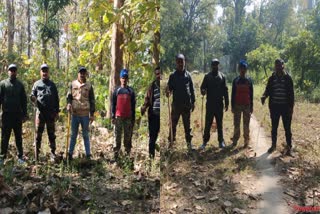 FOREST WORKERS USE WEAPONS