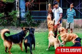 ETV BHARAT