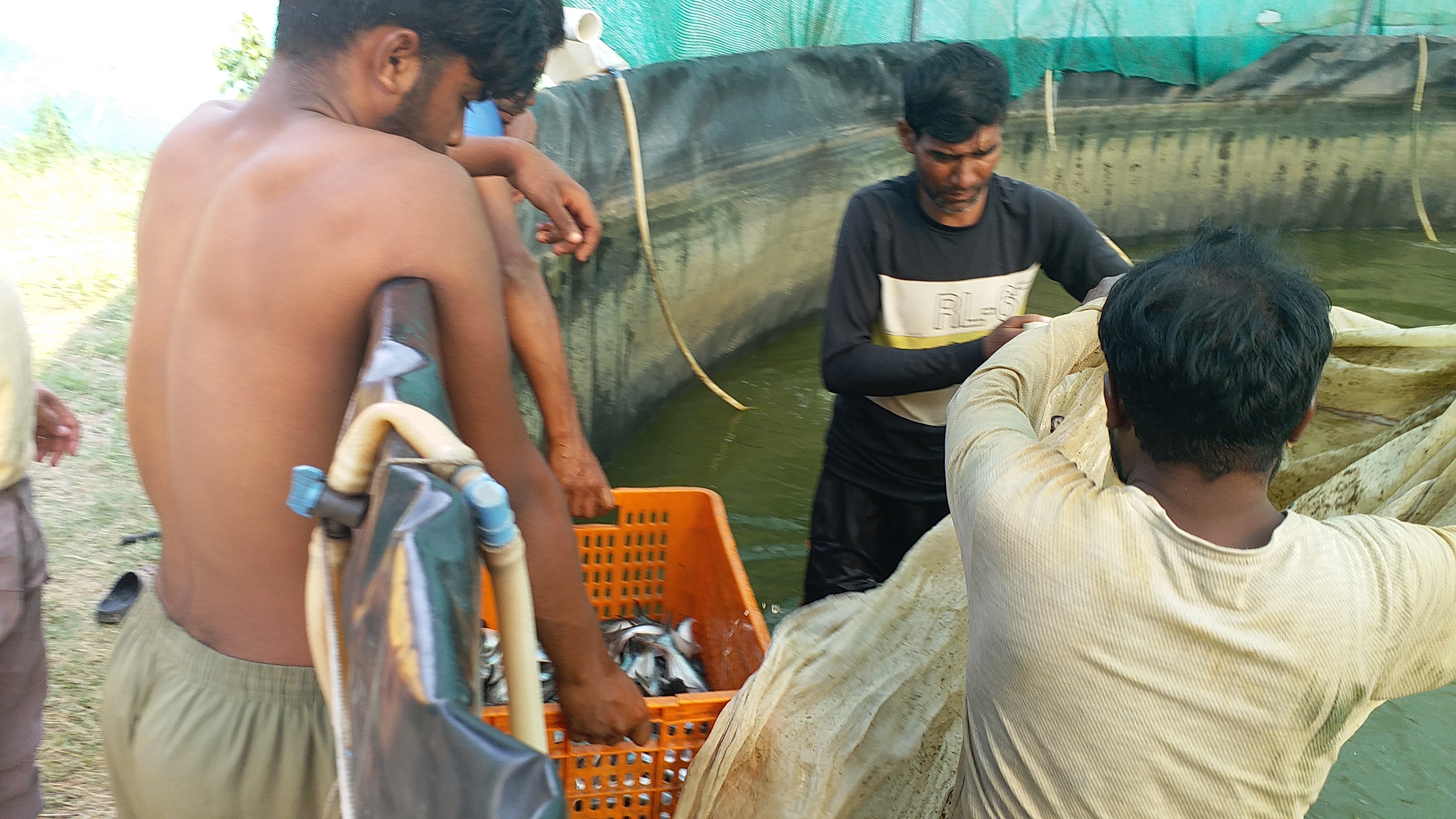 From Boardroom To Biofloc, The MBA From Ranchi Who Became a Fisherman And Changed 300 Lives