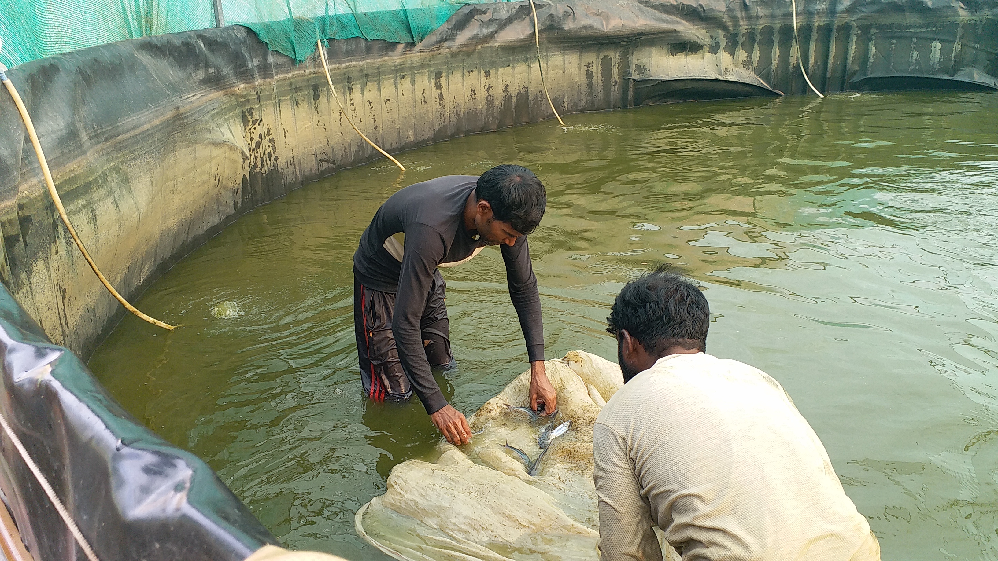 From Boardroom To Biofloc, The MBA From Ranchi Who Became a Fisherman And Changed 300 Lives