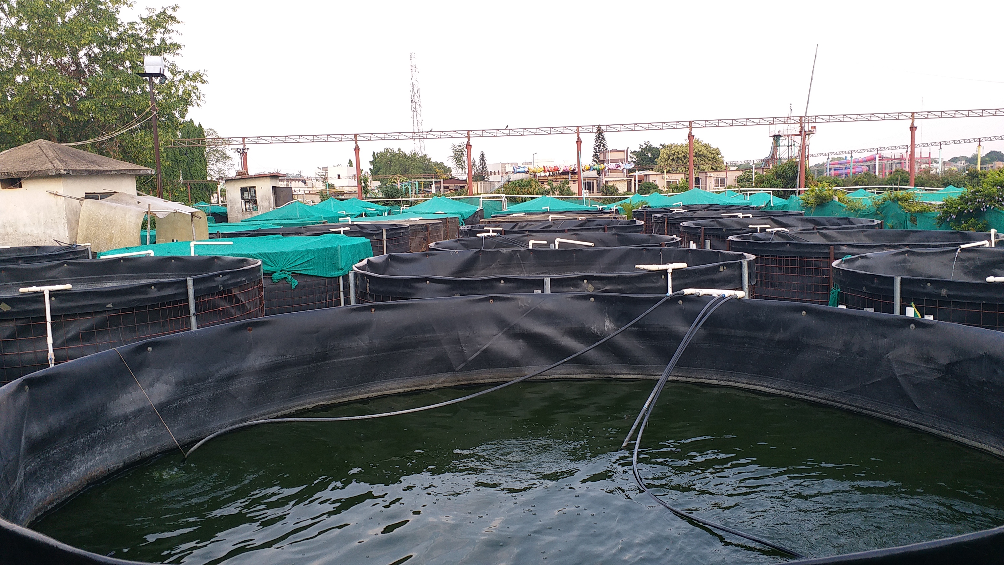 From Boardroom To Biofloc, The MBA From Ranchi Who Became a Fisherman And Changed 300 Lives
