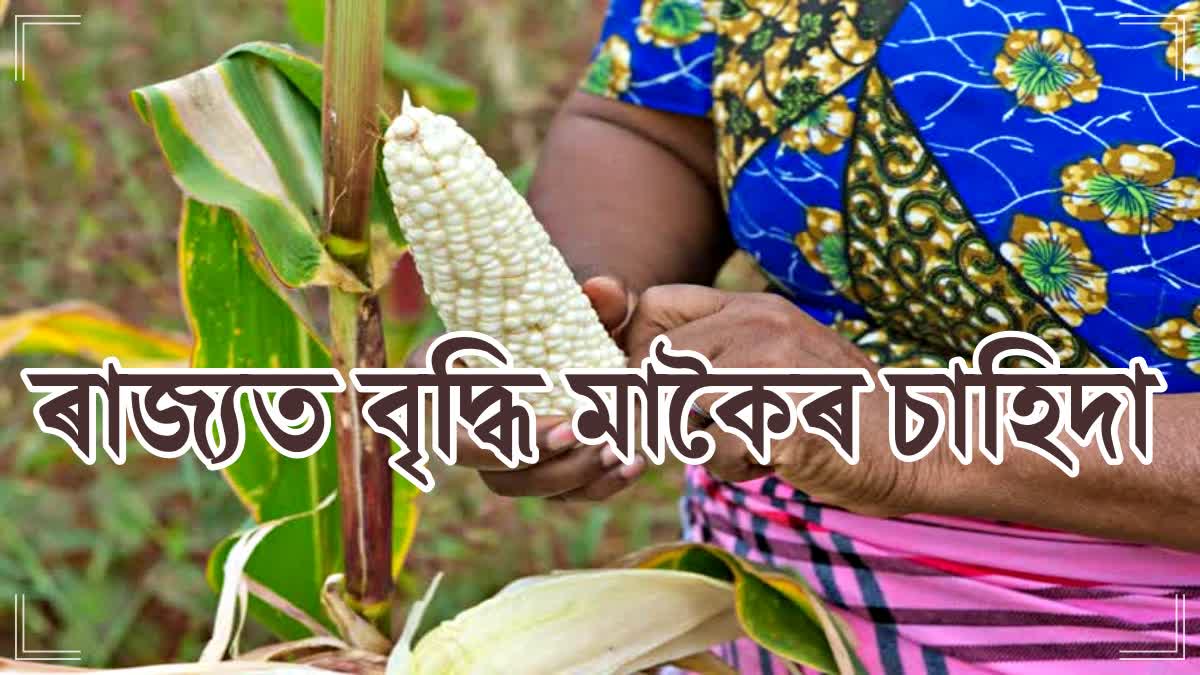 AGRICULTURAL REVOLUTION IN ASSAM