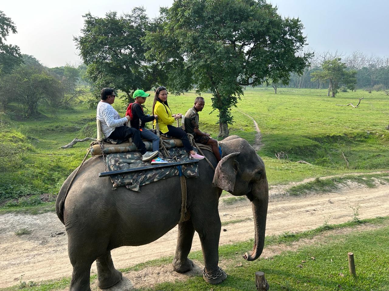 Pobitora Wildlife Sanctuary