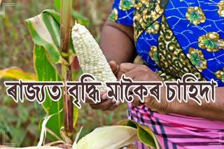 AGRICULTURAL REVOLUTION IN ASSAM