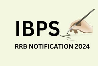 IBPS RRB CRP XIII Notification 2024
