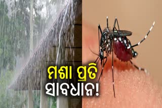 ଆସୁଛି ମୌସୁମୀ ବର୍ଷା, ବଢିବ ମଶା ଆତଙ୍କ; ମୁକାବିଲା ପାଇଁ ପ୍ରସ୍ତୁତ ଜନସ୍ବାସ୍ଥ୍ୟ ବିଭାଗ