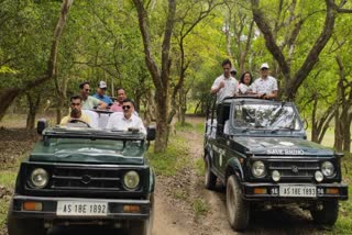 Pobitora Wildlife Sanctuary