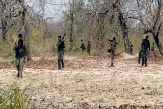 In a major blow to Maoists, security forces have achieved great success in Bijapur of Chhattisgarh by arresting a total of nine Maoists from different places in the district.