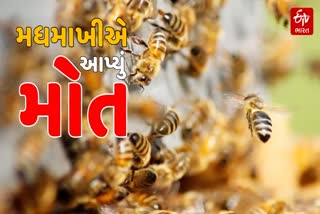પ્રતિકાત્મક તસવીર