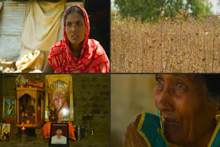 Climate Change Fuels Rising Suicide Rates Among Farmers