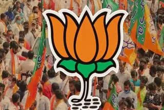 BJP FACTIONALISM