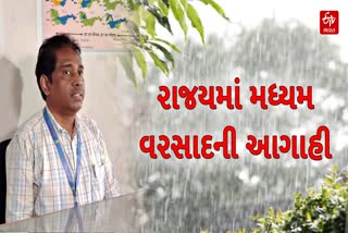 રાજયમાં હળવા વરસાદની આગાહી