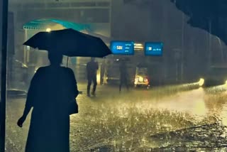 RAIN UPDATE, RAIN