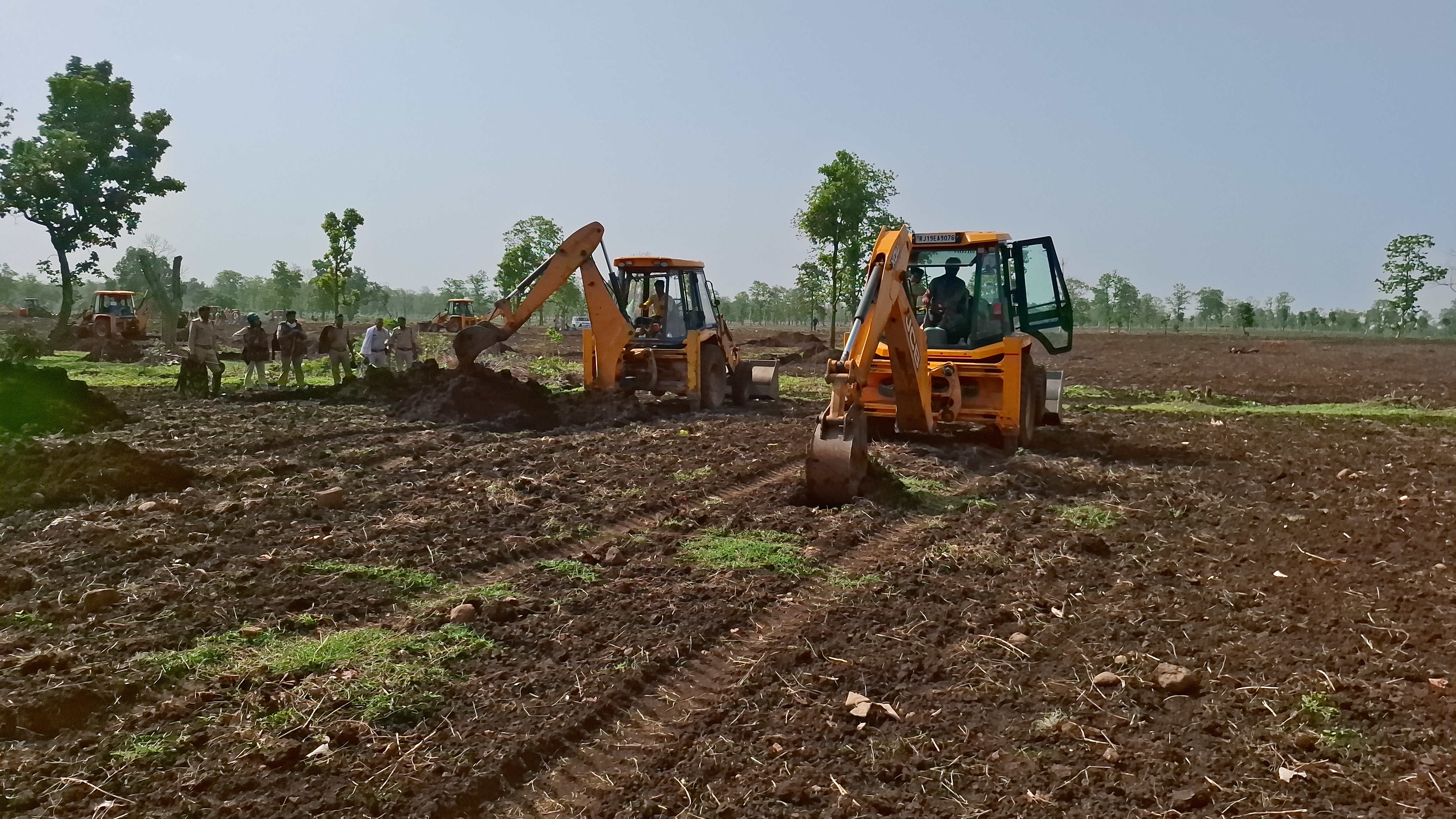 25 bulldozers run in forest khandwa